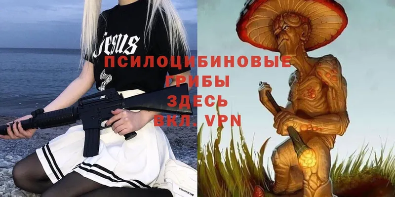 сколько стоит  Козьмодемьянск  гидра ссылка  Псилоцибиновые грибы Magic Shrooms 