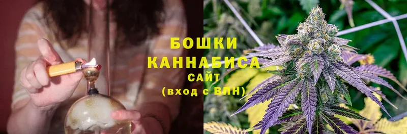 Бошки марихуана THC 21%  мориарти состав  Козьмодемьянск 